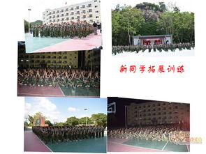 专业拓展培训 实惠价格，卓越体验，打造高效团队