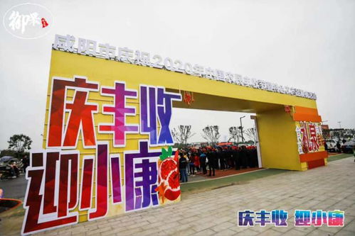 秋收礼泉赞，耕耘新时代——咸阳市庆祝2020年中国农民丰收节暨特色农产品展销活动侧记